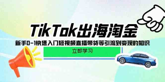 TikTok出海淘金，新手0-1快速入门短视频直播带货等引流到变现的知识-皓哥创业笔记
