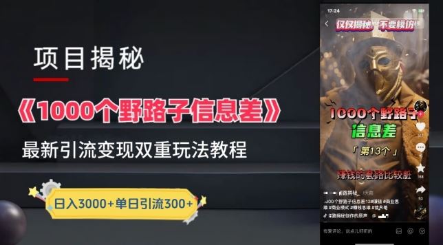 一千个野路子信息差最新玩法教程-变现+引流的玩法具体拆解【揭秘】-网亿资源平台