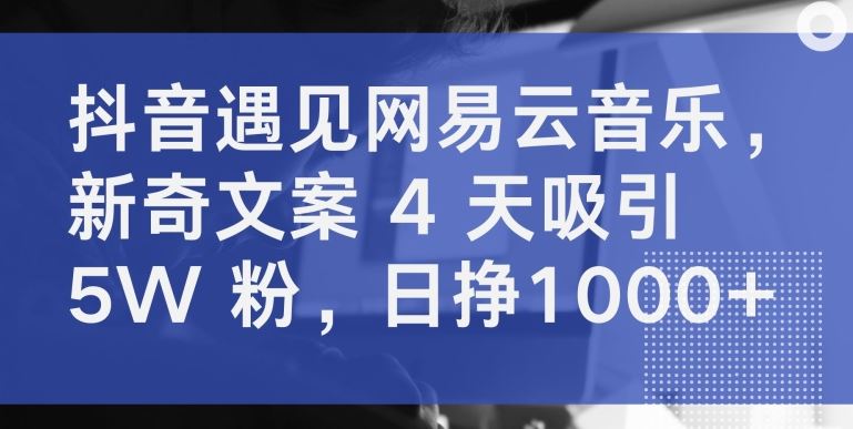 抖音遇见网易云音乐，新奇文案 4 天吸引 5W 粉，日挣1000+【揭秘】-网亿资源平台