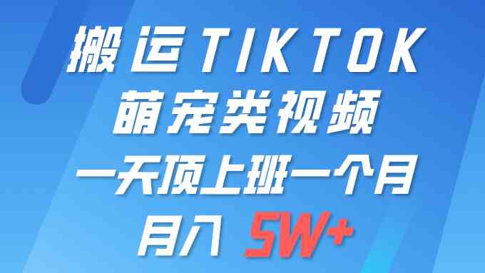 (9931期)一键搬运TIKTOK萌宠类视频 一部手机即可操作 所有平台均可发布 轻松月入5W+-邪修侠 - 演示