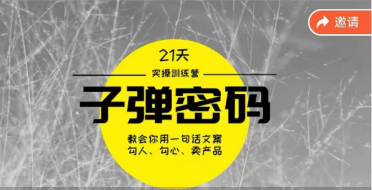 《子弹密码训练营》-用一句话文案勾人勾心卖产品，21天学到顶尖文案大师策略和技巧-皓哥创业笔记