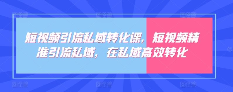 短视频引流私域转化课，短视频精准引流私域，在私域高效转化-网亿资源平台