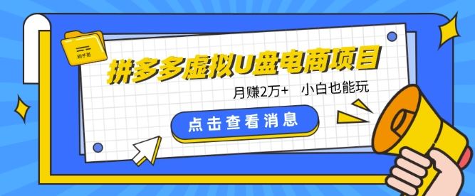 拼多多虚拟U盘电商红利项目:月赚2万+,新手小白也能玩-邪修侠