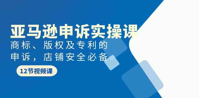 （9754期）亚马逊-申诉实战课，商标、版权及专利的申诉，店铺安全必备-邪修侠