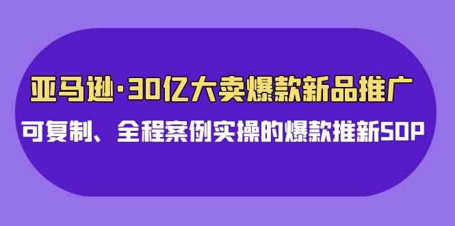 （9944期）亚马逊30亿·大卖爆款新品推广，可复制、全程案例实操的爆款推新SOP-邪修侠 - 演示
