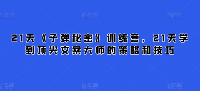 21天《子弹秘密》训练营，21天学到顶尖文案大师的策略和技巧-网亿资源平台