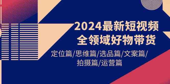 （9818期）2024最新短视频全领域好物带货 定位篇/思维篇/选品篇/文案篇/拍摄篇/运营篇-邪修侠 - 演示