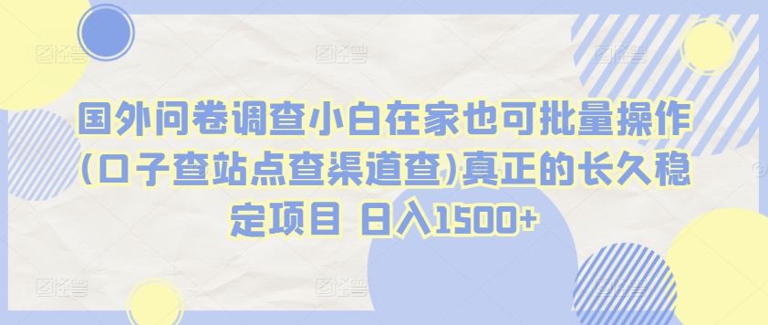 国外问卷调查小白在家也可批量操作(口子查站点查渠道查)真正的长久稳定项目 日入1500+【揭秘】-邪修侠
