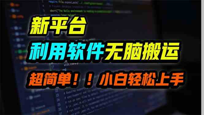 (9745期)新平台用软件无脑搬运,月赚10000+,小白也能轻松上手-邪修侠