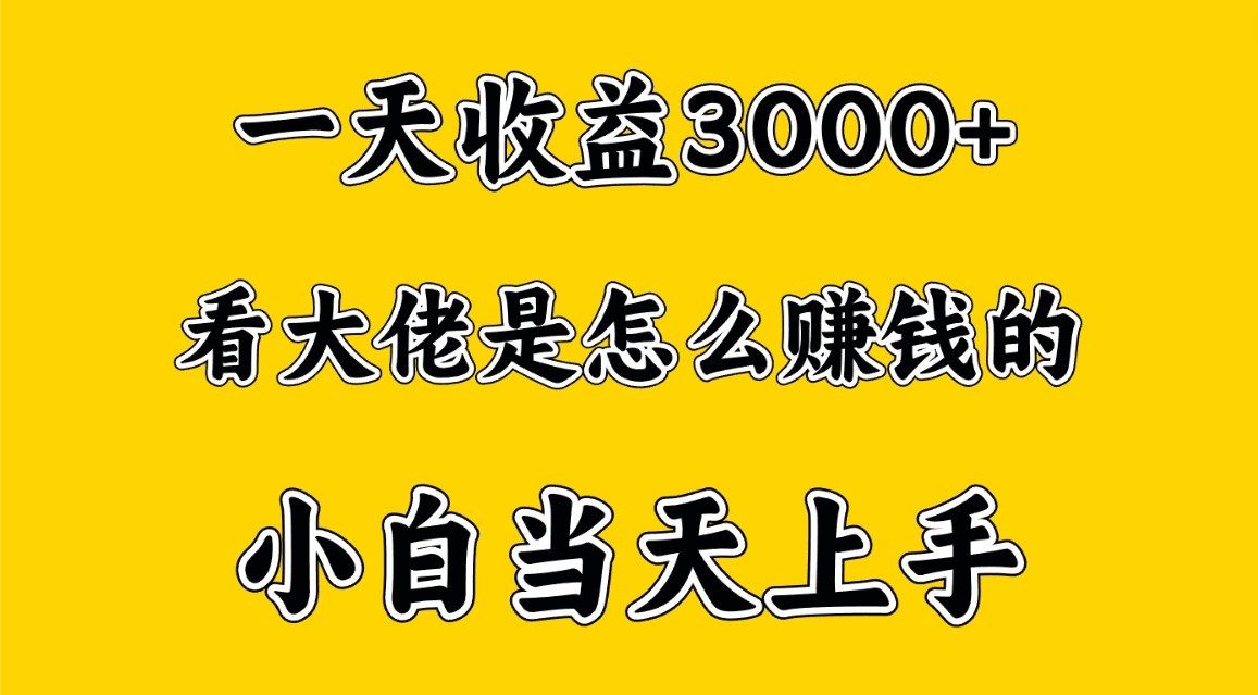 一天赚3000多，大佬是这样赚到钱的，小白当天上手，穷人翻身项目-皓哥创业笔记
