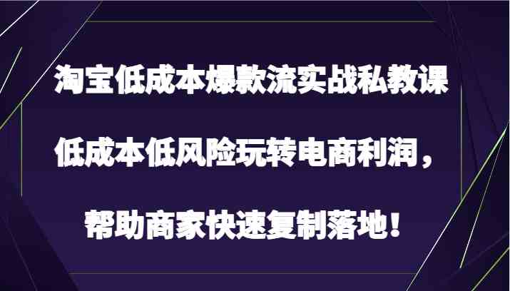 淘宝低成本爆款流实战私教课，低成本低风险玩转电商利润，帮助商家快速复制落地！-皓哥创业笔记