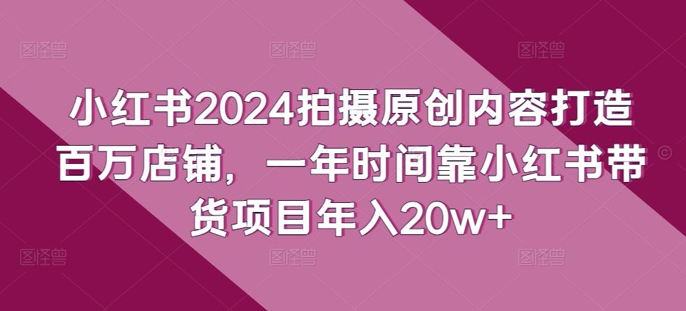 小红书2024拍摄原创内容打造百万店铺,一年时间靠小红书带货项目年入20w+-邪修侠 - 演示