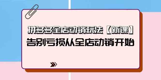 (9974期)拼多多全店动销玩法【新课】,告别亏损从全店动销开始(4节视频课)-邪修侠 - 演示