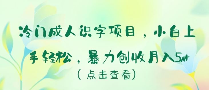 冷门成人识字项目，小白上手轻松，暴力创收月入5w+【揭秘】-网亿资源平台