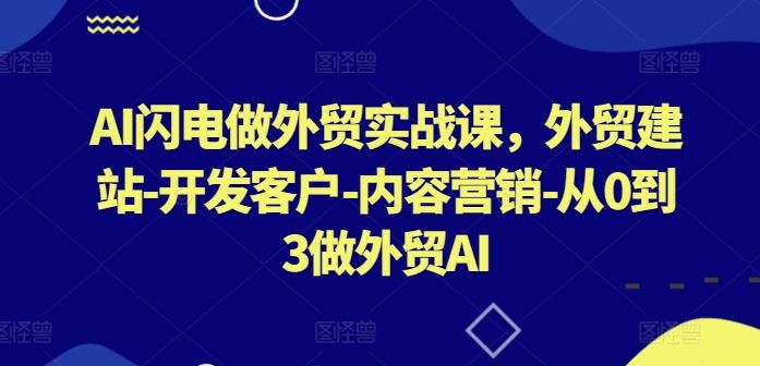 AI闪电做外贸实战课，外贸建站-开发客户-内容营销-从0到3做外贸AI-网亿资源平台