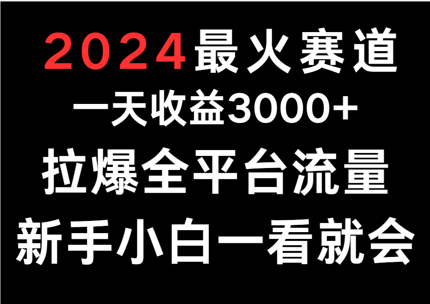 2024最火赛道，一天收一3000+.拉爆全平台流量，新手小白一看就会-皓哥创业笔记