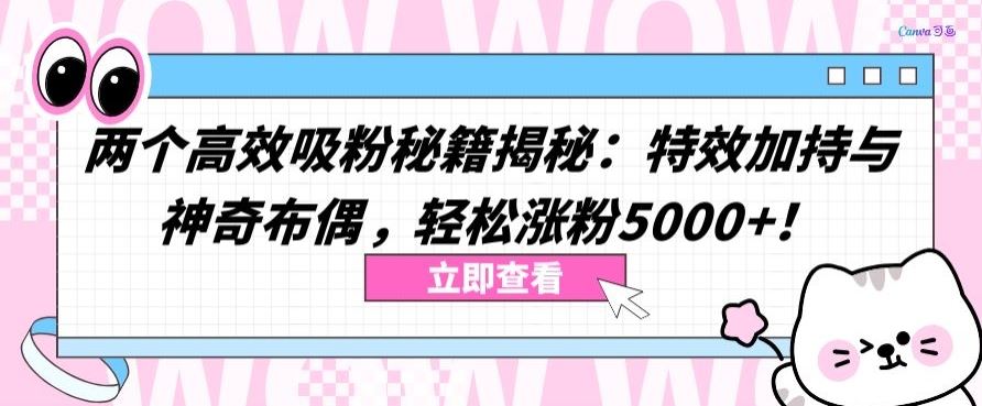 两个高效吸粉秘籍揭秘：特效加持与神奇布偶，轻松涨粉5000+【揭秘】-网亿资源平台