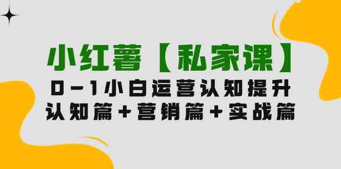 (9910期)小红薯【私家课】0-1玩赚小红书内容营销,认知篇+营销篇+实战篇(11节课)-优优云网创