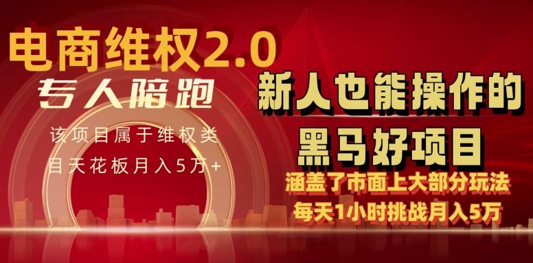 电商维权 4.0 如何做到月入 5 万+每天 1 小时新人也能快速上手【仅揭秘】-网亿资源平台