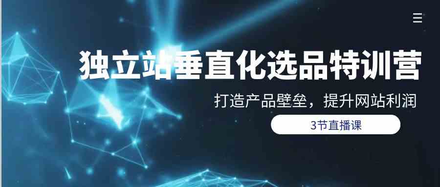(9925期)独立站-垂直化选品训练营,打造产品壁垒,提升网站利润(3节直播课)-邪修侠