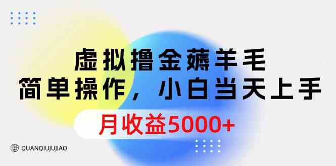 (9864期)虚拟撸金薅羊毛,简单操作,小白当天上手,月收益5000+-邪修侠 - 演示