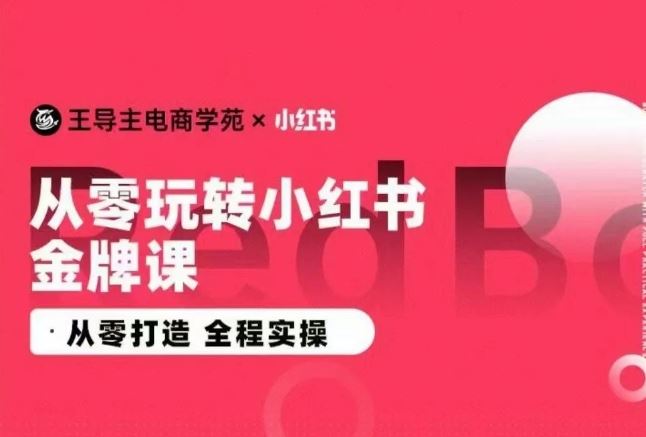 王导主·小红书电商运营实操课，从零打造 全程实操-网亿资源平台
