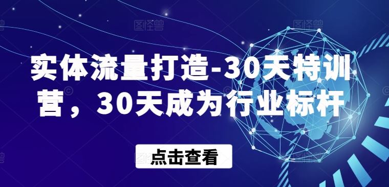 实体流量打造-30天特训营，30天成为行业标杆-网亿资源平台