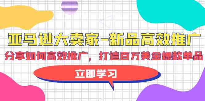 (9945期)亚马逊 大卖家-新品高效推广,分享如何高效推广,打造百万美金爆款单品-邪修侠