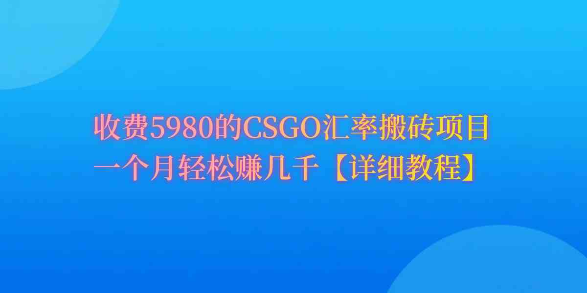 (9776期)CSGO装备搬砖,月综合收益率高达60%,你也可以!-邪修侠