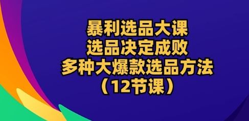 暴利选品大课：选品决定成败，教你多种大爆款选品方法(12节课)-网亿资源平台