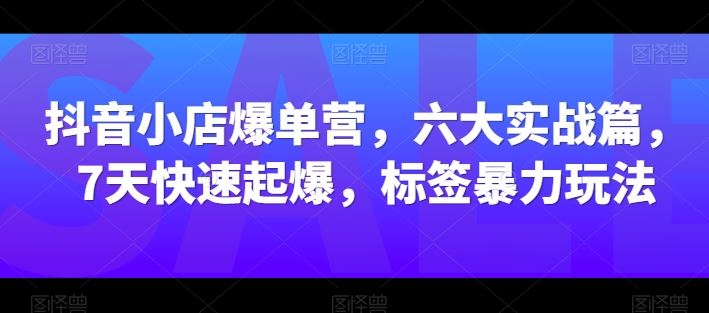 抖音小店爆单营，六大实战篇，7天快速起爆，标签暴力玩法-网亿资源平台