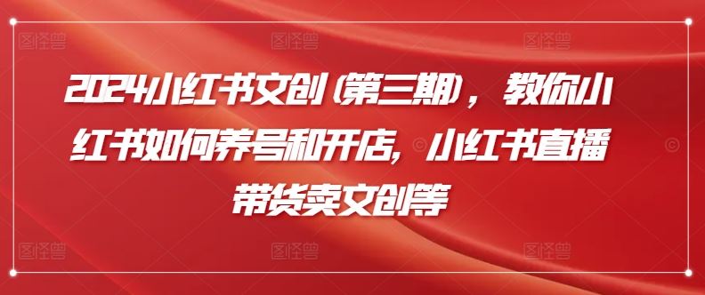 2024小红书文创(第三期),教你小红书如何养号和开店,小红书直播带货卖文创等-邪修侠 - 演示