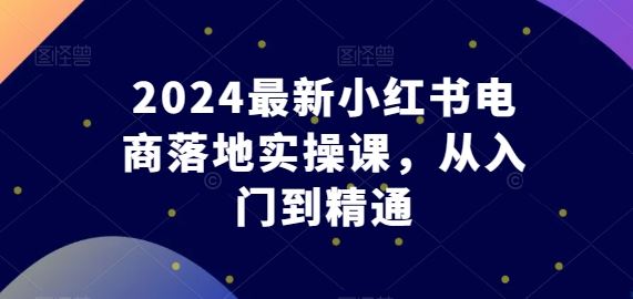 2024最新小红书电商落地实操课,从入门到精通-网亿资源平台