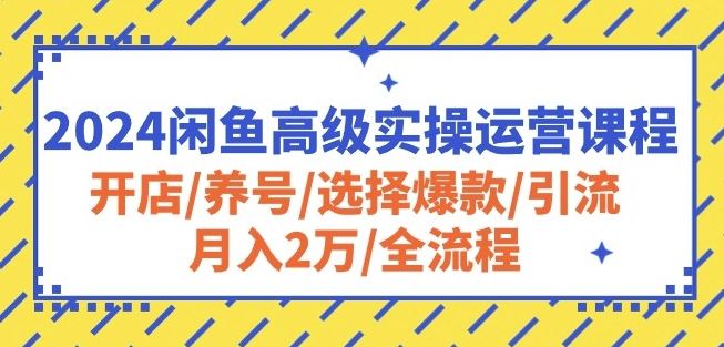 2024闲鱼高级实操运营课程：开店/养号/选择爆款/引流/月入2万/全流程-网亿资源平台