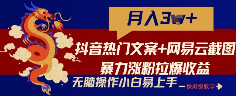 抖音热门文案+网易云截图暴力涨粉拉爆收益玩法，小白无脑操作，简单易上手【揭秘】-网亿资源平台