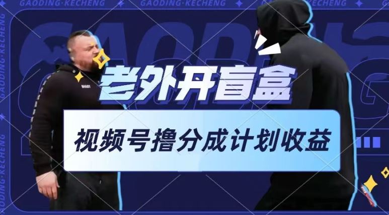 老外开盲盒视频，撸视频号分成计划收益，每天只需一小时，新手小白轻松上手【揭秘】-网亿资源平台