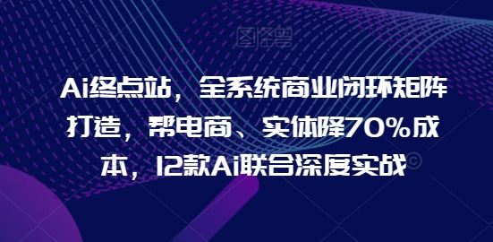 Ai终点站，全系统商业闭环矩阵打造，帮电商、实体降70%成本，12款Ai联合深度实战-网亿资源平台