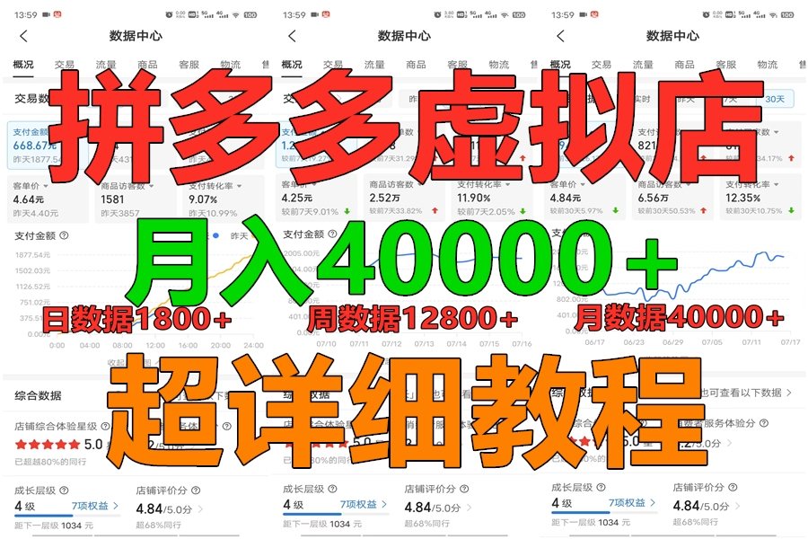 拼多多虚拟电商训练营月入40000+，全网最详细，你做你也行，暴利稳定长久-邪修侠 - 演示