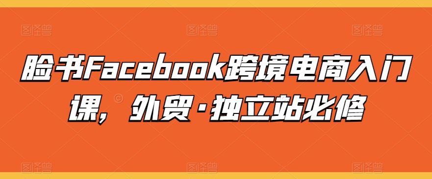 脸书Facebook跨境电商入门课，外贸·独立站必修-网亿资源平台