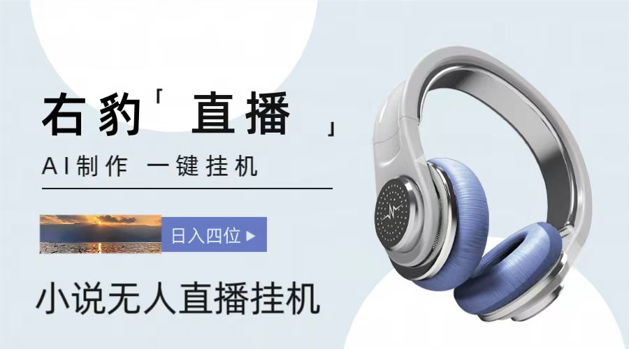 右豹小说无人直播挂机吸金项目，简单易行收益稳定， 月入1000+-网亿资源平台