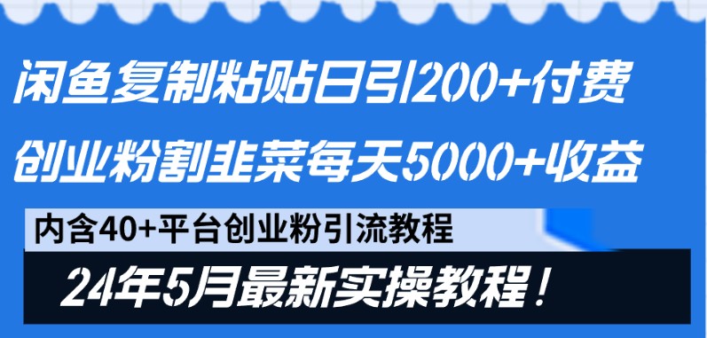 闲鱼复制粘贴日引200+付费创业粉，24年5月最新方法！割韭菜日稳定5000+收益-邪修侠 - 演示
