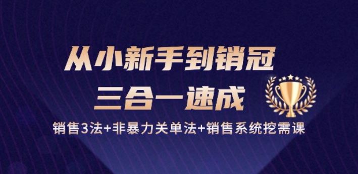 从小新手到销冠 三合一速成：销售3法+非暴力关单法+销售系统挖需课 (27节)-网亿资源平台