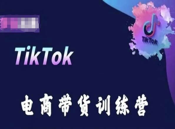 TikTok电商带货训练营，跟随时代潮流，跨境掘金-邪修侠 - 演示