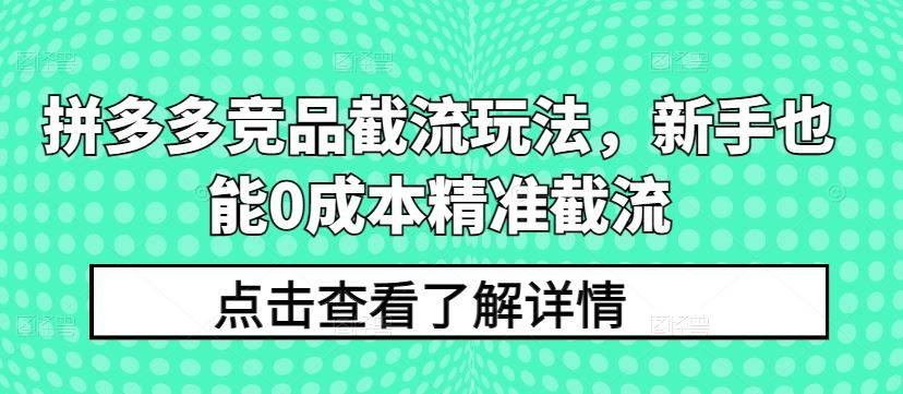 拼多多竞品截流玩法，新手也能0成本精准截流-网亿资源平台