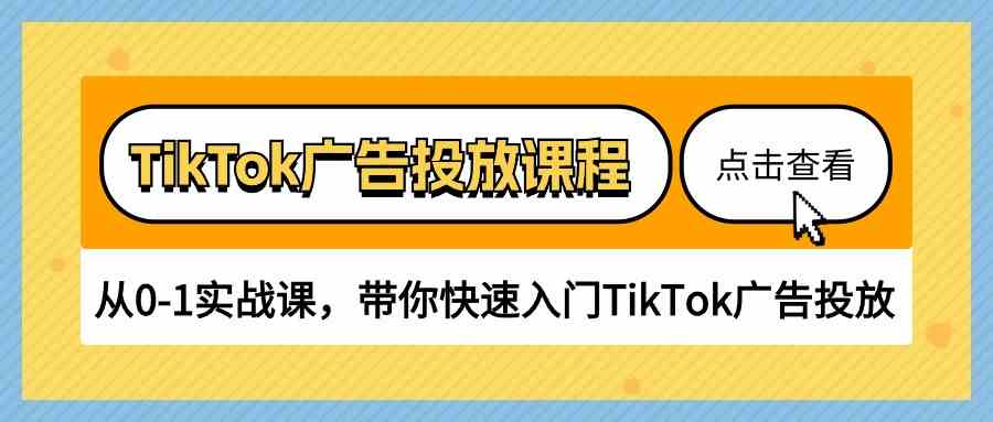 TikTok广告投放课程，从0-1实战课，带你快速入门TikTok广告投放（30节课）-网亿资源平台