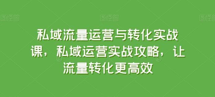 私域流量运营与转化实战课，私域运营实战攻略，让流量转化更高效-网亿资源平台