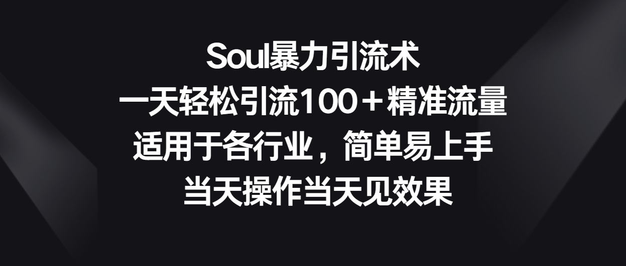 Soul暴力引流术，一天轻松引流100＋精准流量，适用于各行业，简单易上手！-皓哥创业笔记