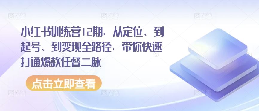 小红书训练营12期，从定位、到起号、到变现全路径，带你快速打通爆款任督二脉-网亿资源平台
