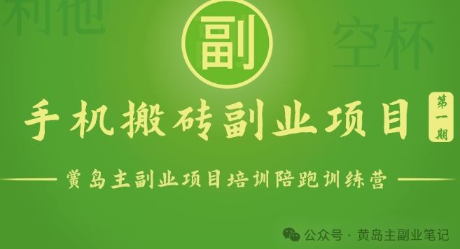手机搬砖小副业项目训练营1.0，实测1小时收益50+，一部手机轻松日入100+-邪修侠 - 演示