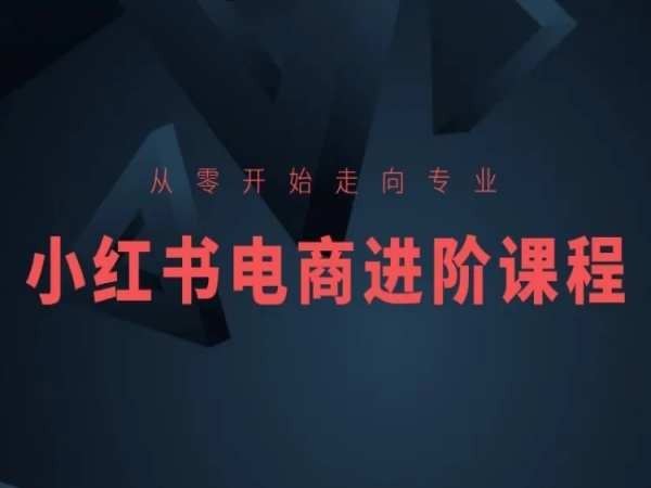 从零开始走向专业，小红书电商进阶课程-网亿资源平台